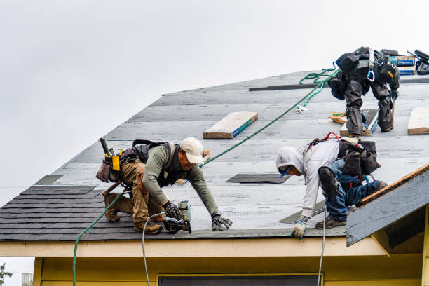 Professional Roofing technician working in East Lynne, MO